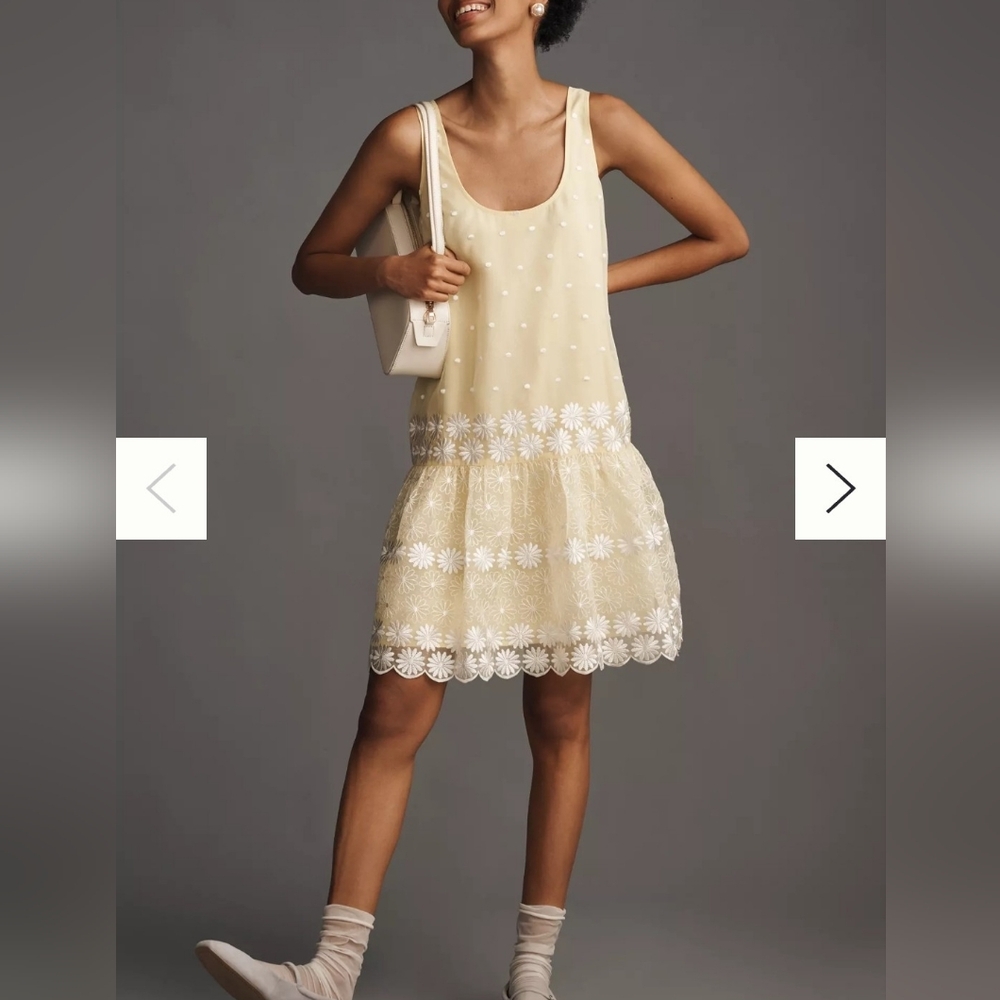 Maeve Sleeveless Scoop-Neck Daisy Border Drop-Waist Mini Dress